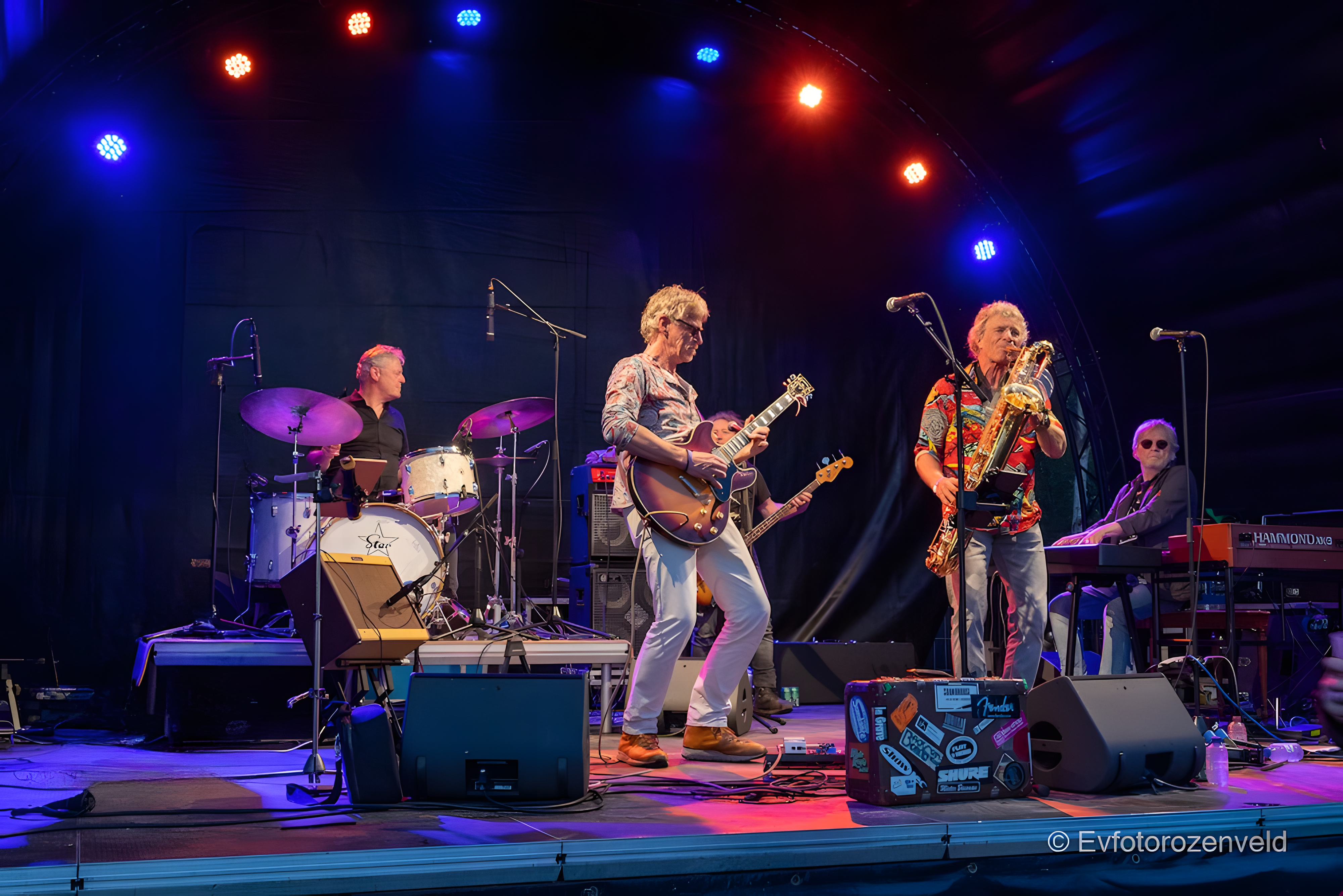 BLUESWORLD CAFÉ: CAT FEVER BAND